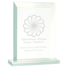 Rectangle Jade Glass Award