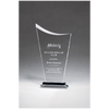Contemporary Clear Glass Award with Pedestal Base
