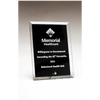 Clear Glass Plaque with Painted Black Background, Silv er Plated Easel Post