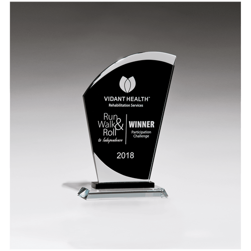 Sail Shaped Glass Award with Black Center