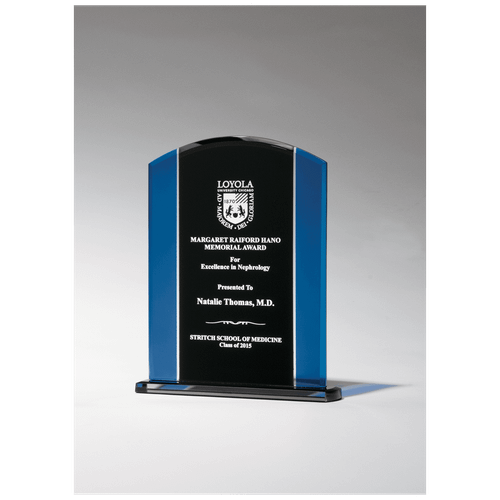 Clear Glass with Blue/Black Silkscreened Upright and Black Screened Base