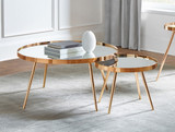 Kaelyn Coffee Table in Gold/Mirror