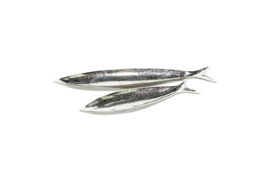 Aluminium Fish Trays (Set of 2)