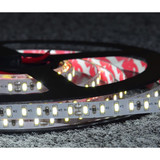 Striscia led 60W 120 SMD 3014 IP20 24V