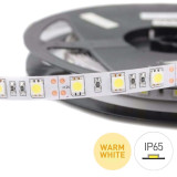 Striscia led 72W 60 SMD 5050 12V IP65