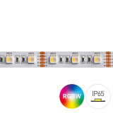Striscia led RGB + Bianco 96W 24 Volts IP65