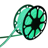 Striscia led 220V 2835 - verde
