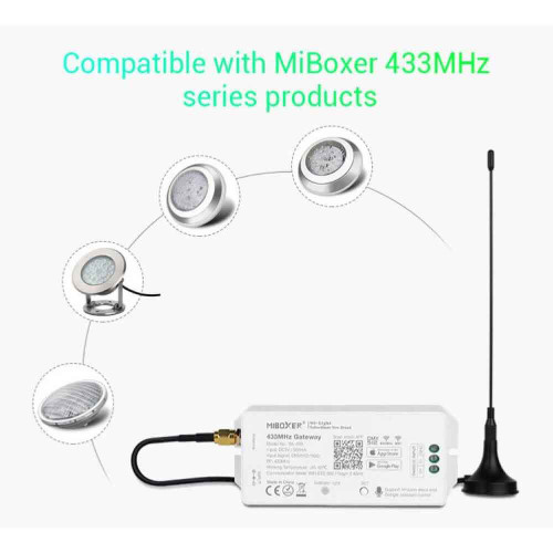 Bridge Lora per Alexa e Google