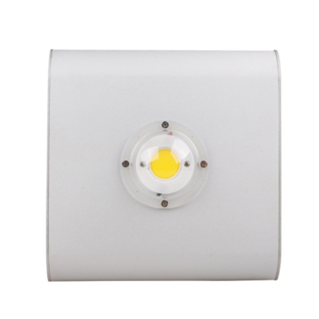 Faro led COB 30W Stagno IP65 bianco naturale