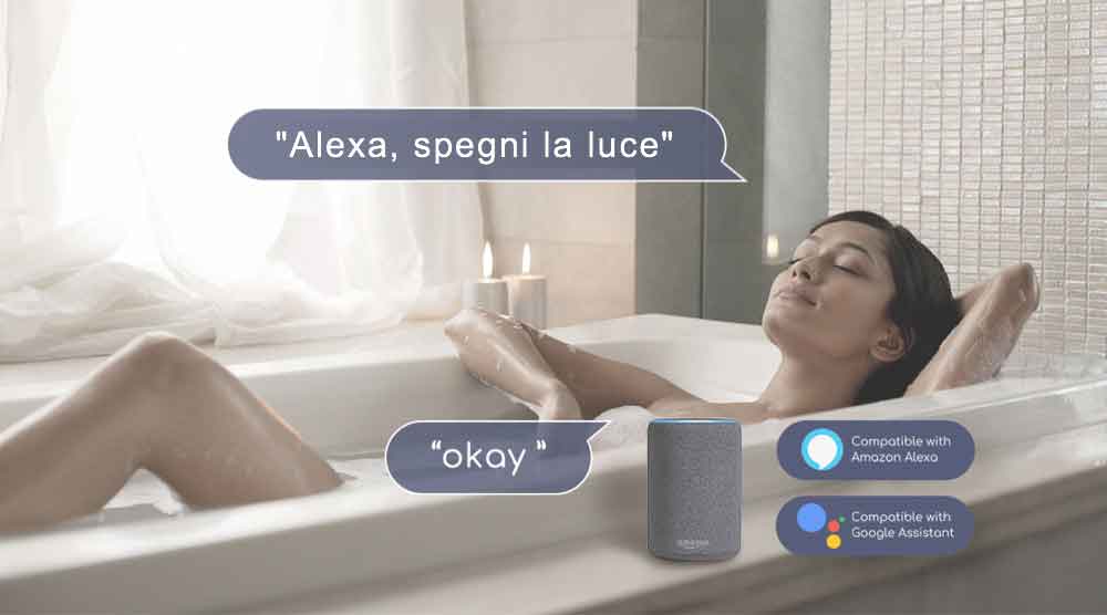 Controllo luci con assistente vocale Alexa o Google Assistant