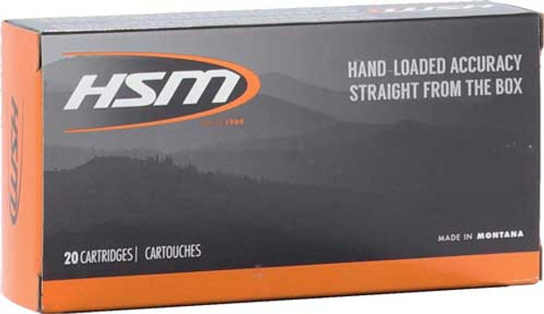 20RD 25BX/CSHSM 300 AAC 180GR BTHP 