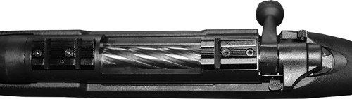 450 BUSHMASTER 20" BLUED/SYNMOSSBERG PATRIOT 