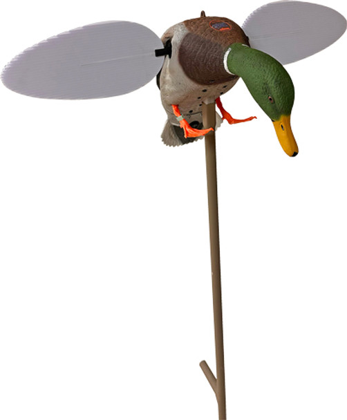 ANNIVERSARYMOJO SILVER MALLARD 25TH 