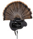 AVIAN X TROPHY TOM DECOY 