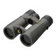 Leupold BX-5 Santiam HD 10x42mm Binoculars Shadow Gray