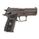 SIG P229 9mm 3.9in Legion Gray SAO X-Ray 3 Black G10 Grip Optic Cut