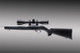 Black for .22 LR with Standard Barrel