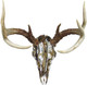 SKULL MASTER KITMOUNTAIN MIKE'S SNOW CAMO DEER 
