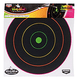 -COLOR BULL'S-EYE 10 TARGETSB/C TARGET DIRTY BIRD 12"MULTI 