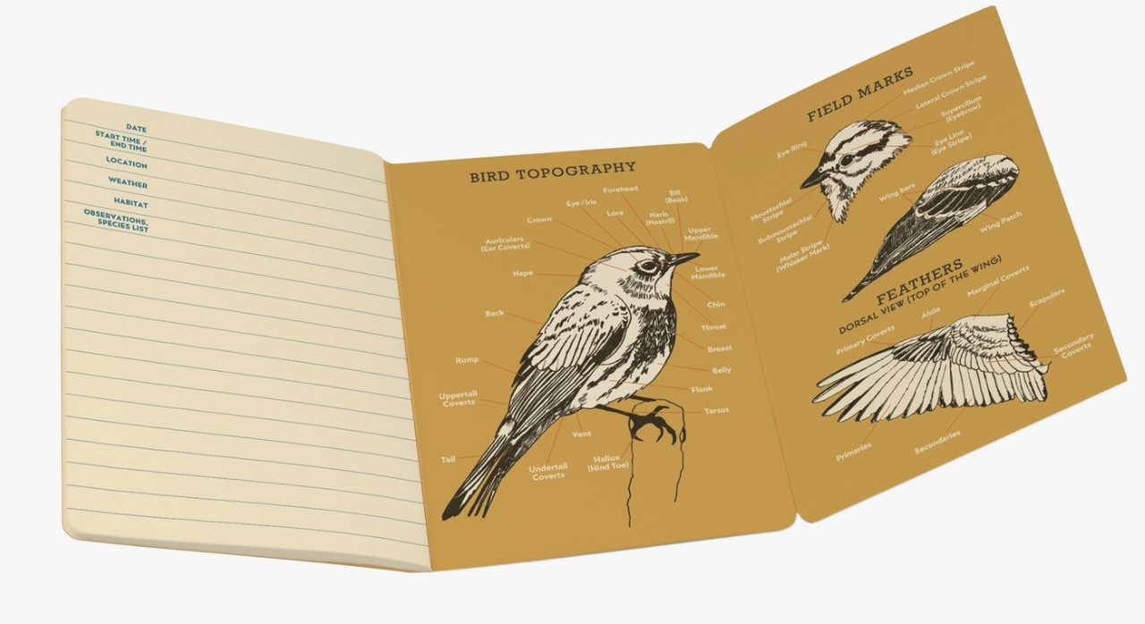 Cuaderno Mini De Observación De Aves Urbanas - Pasaporte Tamaño, 48 Páginas, Con Guías De Especies Y Migración