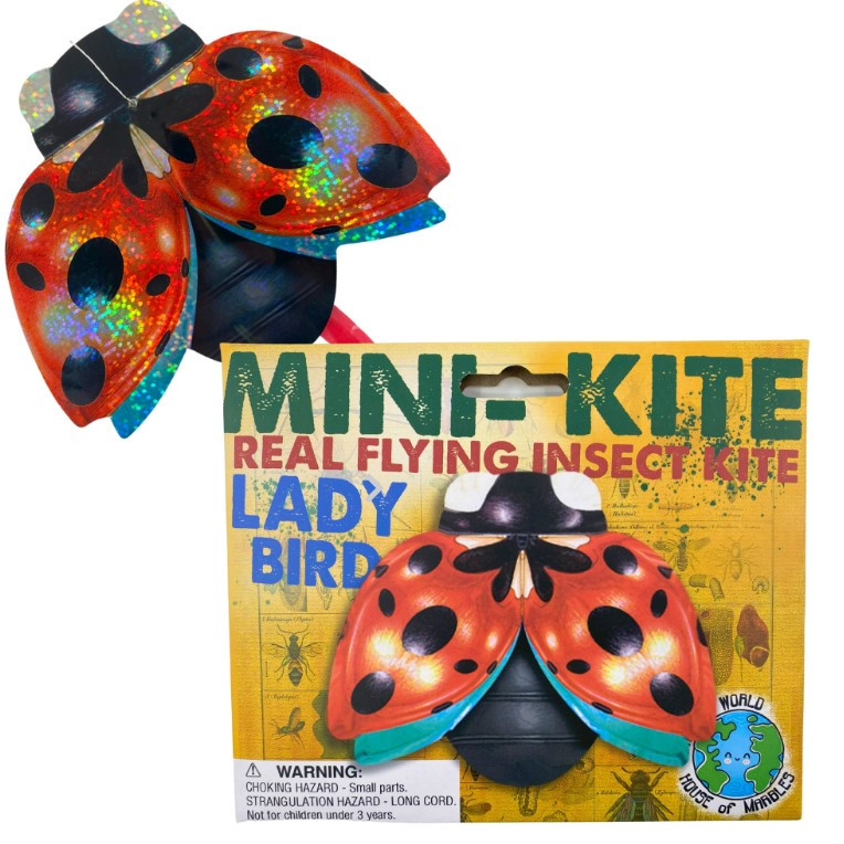 Mini Flying Insect Kite - Little Obsessed