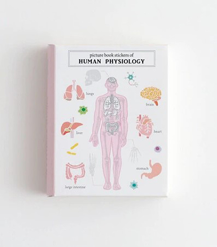 Picture Book of Stickers - Human Physiology - Little Obsessed