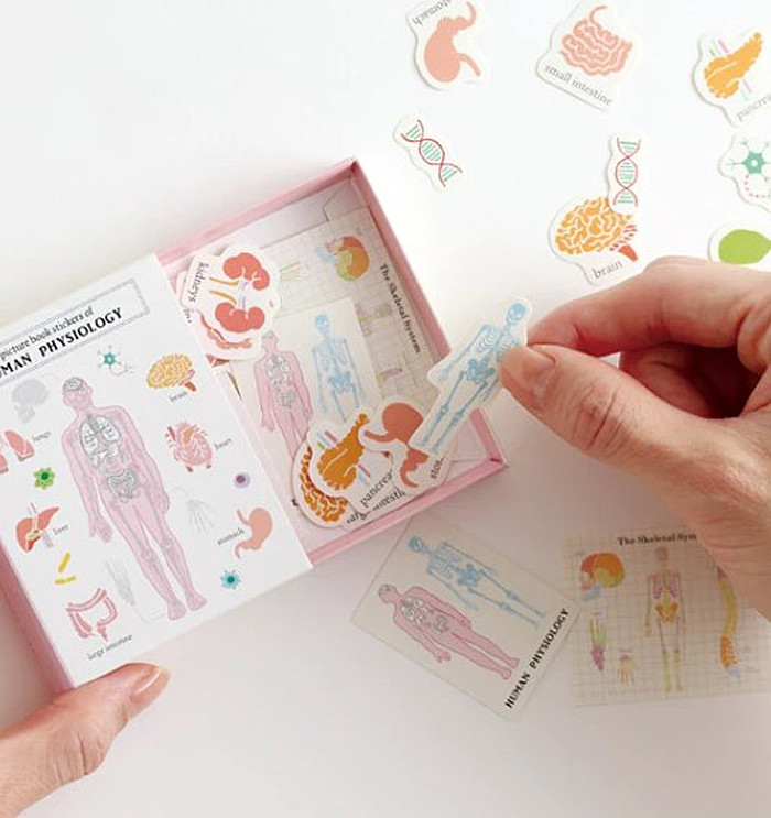 Picture Book of Stickers - Human Physiology - Little Obsessed