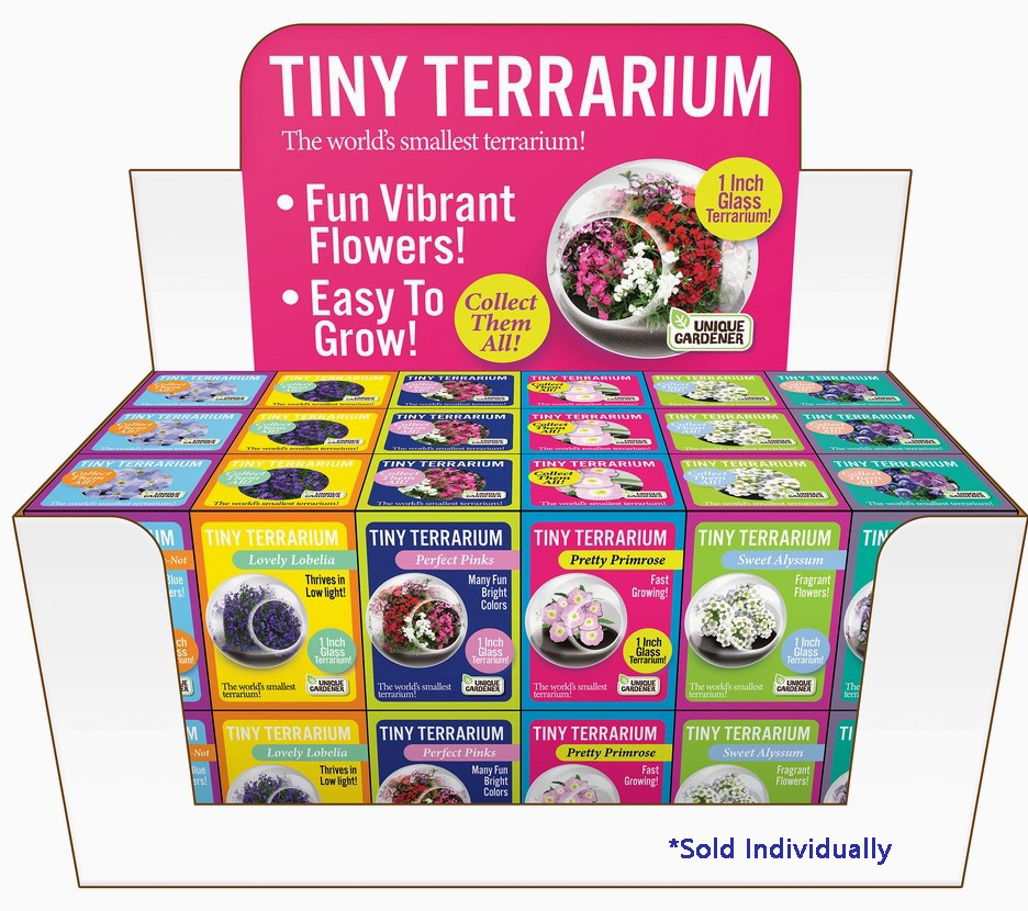 Tiny Terrarium Flowers - Little Obsessed