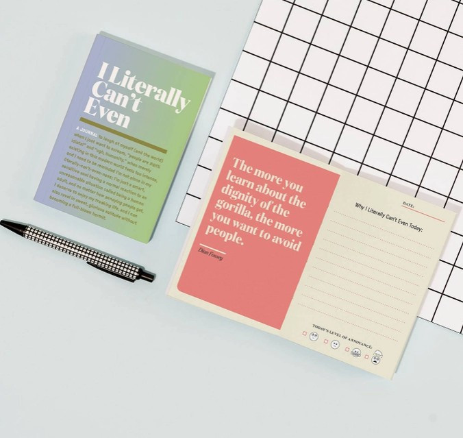 Truth Journal I Literally Can’t Even Mini Inner-Truth® Journal - Little Obsessed