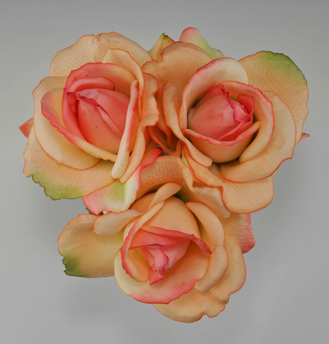 Silk Pink Roses in Glass Vase - Little Obsessed