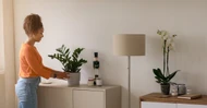 How Tiny Décor Can Influence Your Mindset