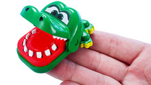 World's Smallest Crocodile Dentist World's Smallest Crocodile Dentist