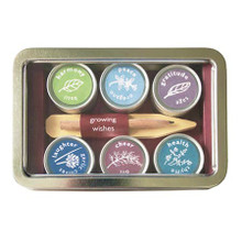 Growing Wishes - Cheer Herb Mini Planting Kit Growing Wishes - Cheer Herb Mini Planting Kit