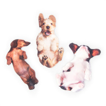 Dog Nail File Dog Nail File