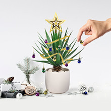 Festive Plant Baubles Festive Plant Baubles