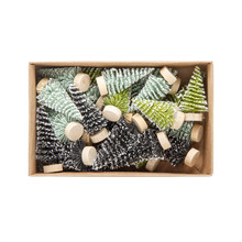 Frosted Mini Sisal Trees, Boxed Set of 24 Frosted Mini Sisal Trees, Boxed Set of 24