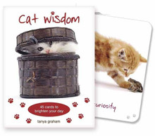 Cat Wisdom Cards Cat Wisdom Cards