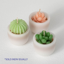 Vance Kitira Succulent Candle  - Assorted Vance Kitira Succulent Candle  - Assorted