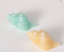 Vance Kitira Conch Shell Candle Vance Kitira Conch Shell Candle