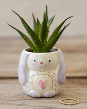 Natural Life Bunny Faux Succulent Natural Life Bunny Faux Succulent