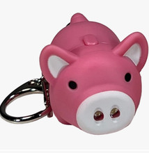 Pig Sound LED Key Light Pig Sound LED Key Light