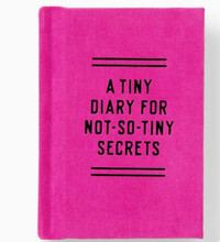 A Tiny Diary For Not So Tiny Secrets