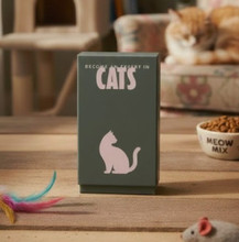 Become an Expert in Cats Deck