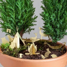 Tiny Camping for Your Plants 