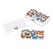 Butterflies Mini Note Cards