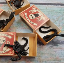 Scary Insect Surprise Matchbox 