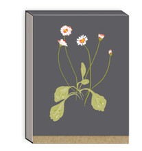 Pocket Notepad - Floral Charcoal 