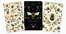 Jade Mosinski Set of 3 Mini Notebooks 