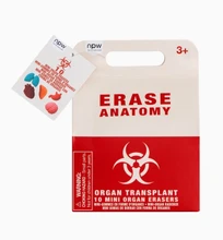 Anatomy Erasers