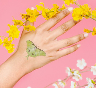 Tattly Butterfly Tin - Thumbnail 5